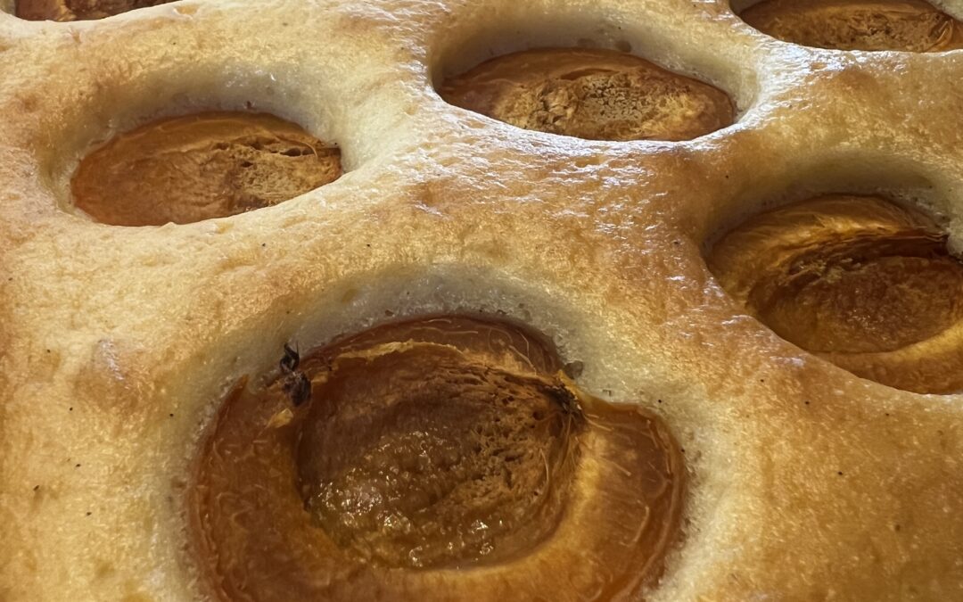 Aprikosenkuchen mit Joghurt vom Blech